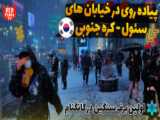 نجات خانواده گربه ها از باران | مادر و بچه گربه ها