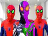 نبرد تیم مرد عنکبوتی با اسحله نرف -ابرقهرمانان در دنیای واقعی-مرد عنکبوتی