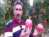 موسیقی سریال آتش دل