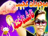 حالا که