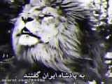 کلیپ شیر سلطان