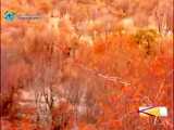 طبیعت زیبا مازندران در پاییز ۱۴۰۱ / آرامش بخش