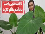 جلسات کاری در پزوژه زعفرانیه