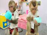 برنامه کودک بچه میمون | مراقبت از میمون کوچک | کودکانه سرگرمی کودک