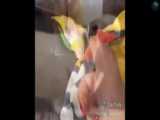 چالش خنده دار و بامزه تفریحی