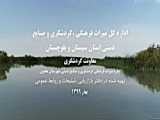 ကြယ်ခုနစ်ပွင့် ရွှေ့ပြောင်းနေထိုင်သူ