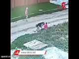 حمله سگ ولگرد به کودک در نصیرشهر شهرستان رباط‌کریم!