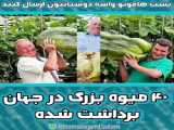 یخ‌میوه‌ای‌درست‌کن