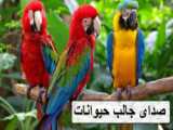 صدای طوطی های کاخ سعد آباد