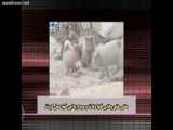 نخوردنیها بخش 2