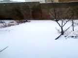 اولین برف زمستانی ، شهرستان شمیرانات