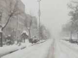 بارش برف در شهرستان دماوند