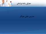 دبیرستان | ورزشی | نگرش نیوز | مسابقات دومیدانی شهر تهران