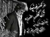 راکوفلای (RacoFLY)