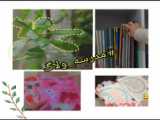 مدرسه ولاگ