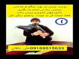 نی انبان علی دلفان مدرس حرفه ای