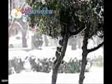 بارش اولین برف زمستانی در تبریز