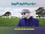 شیک شک تقلیی در ایران