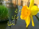 مداحی بسیار زیبا درباره امام زمان عج