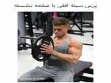 ۹۱۹- نشر از جانب سیمکش از پشت - single-arm-cable-behind-side-lateral-raise