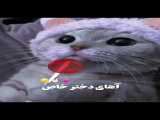 ادیت با اسم فاطمه