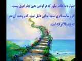 طرح های جدید