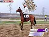 قهرمانی آترین حقانی-هندیکاپ کلاس 4 ترکمن مسافت 1000 - فصل پاییز گنبد کاووس 1401