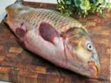 آموزش آشپزی _ طرز تهیه ماهی سوخاری _ ماهی سرخ شده ترد