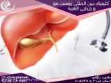 پوست چیست؟؟