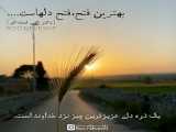 آنباکی