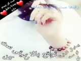 کمک به گنجشکا️