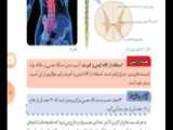 تدریس خط به خط فصل چهارم علوم هشتم-قسمت اول