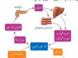 تدریس خط به خط فصل ششم علوم هشتم-قسمت اول