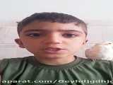 پرنده / عروس هلندی