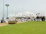 قطر ۲۰۲۲