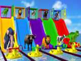 کارتون حیوانات - چالش سخت گوریل گاو فیل ببر - برنامه کودک