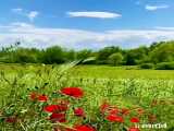 طبیعت ایران،