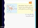 د علوم