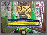 شبکه امید - ریحانه ورپایی