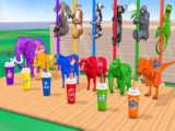کارتون حیوانات - فیل دایناسور فیل کرگدن گاو و نوشیدنی مناسب - برنامه کودک
