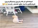 زیبا نیست ؟