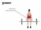 Front squat