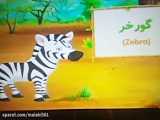  بخندتابخندیم حیوانات 