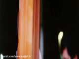 حامد بهداد- آواز خوانی حامد بهداد در فیلم پرتغال خونی