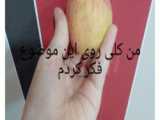 فوق مهم / نشر