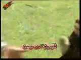 گربه گم‌ شده