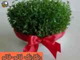 کلیپ تبریک عید نوروز(۱) 1402.