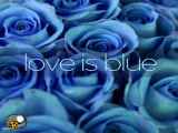 موسیقی معروف عشق آبی بی کلام Love is blue