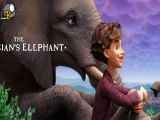 انیمیشن فیل شعبده باز The Magicians Elephant 2023 با دوبله فارسی