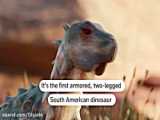 کشف فسیل دایناسور در آرژانتین